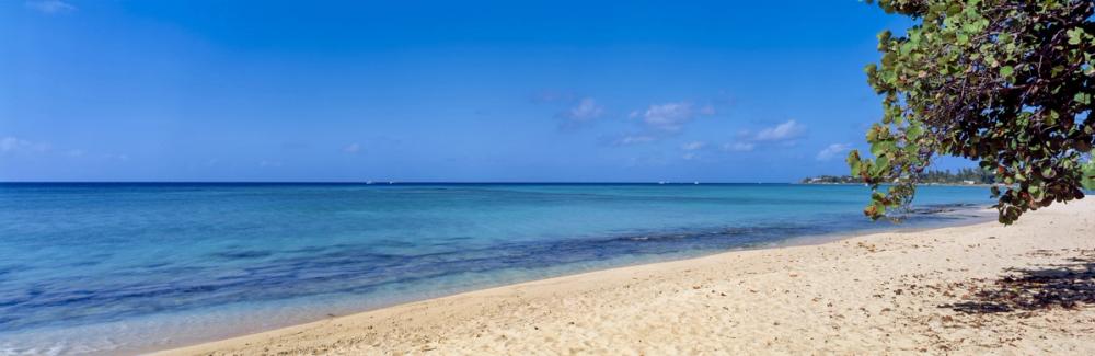 Serene Turquoise Haven