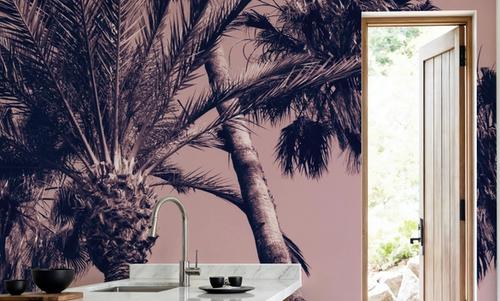 Pink Palms II