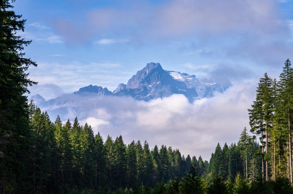 Whitehorse Mountain