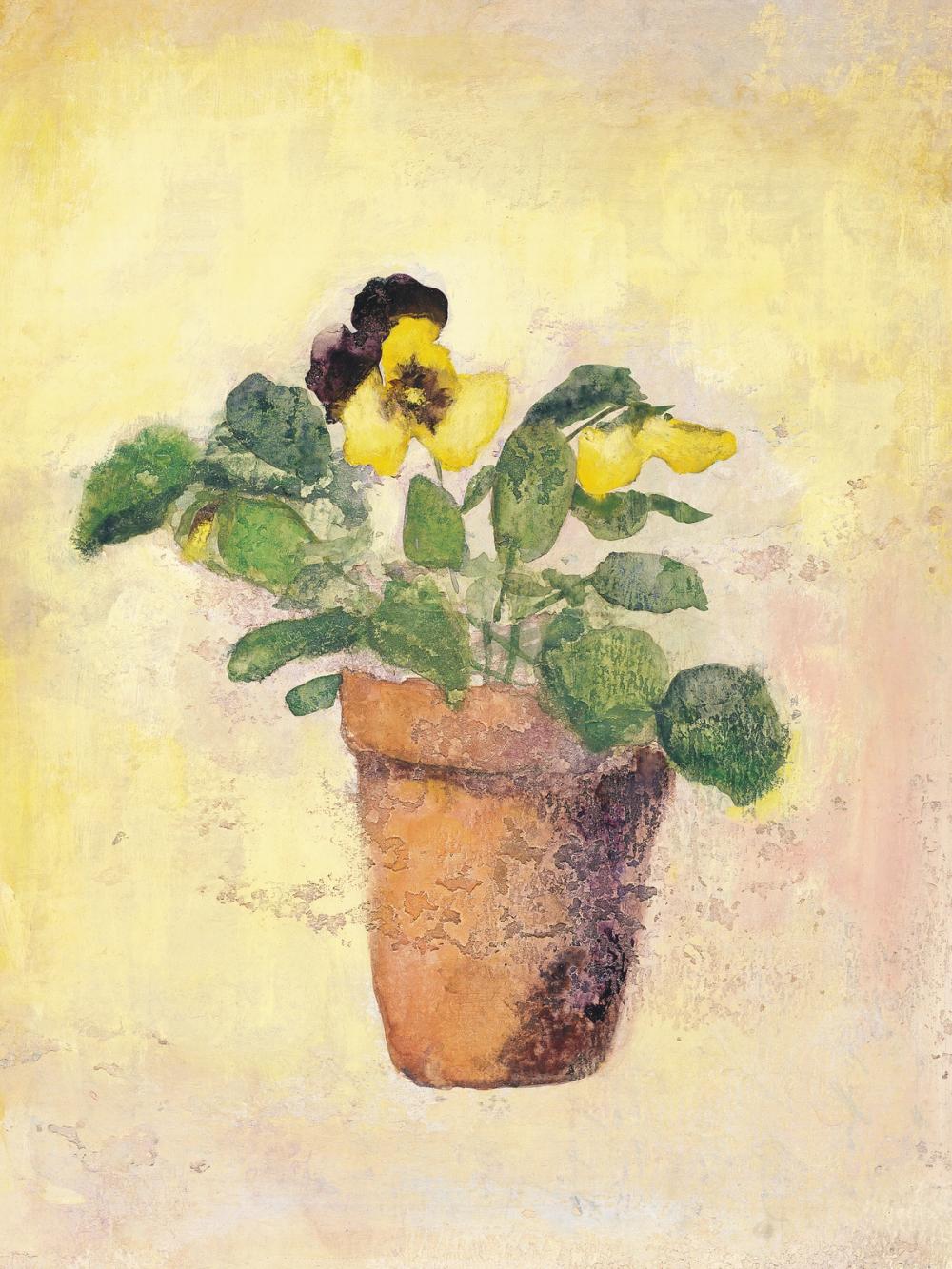 Pansy Giant Fancy