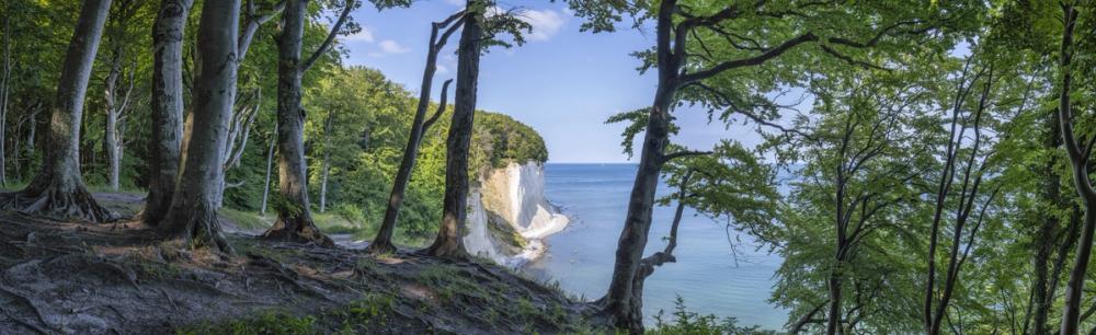 Jasmund National Park Panorama