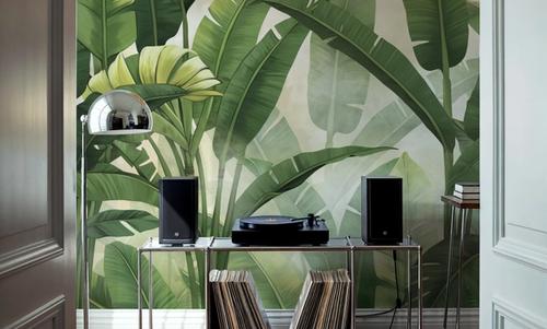 Banana Palms, Bright Green