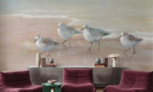 Shorebirds