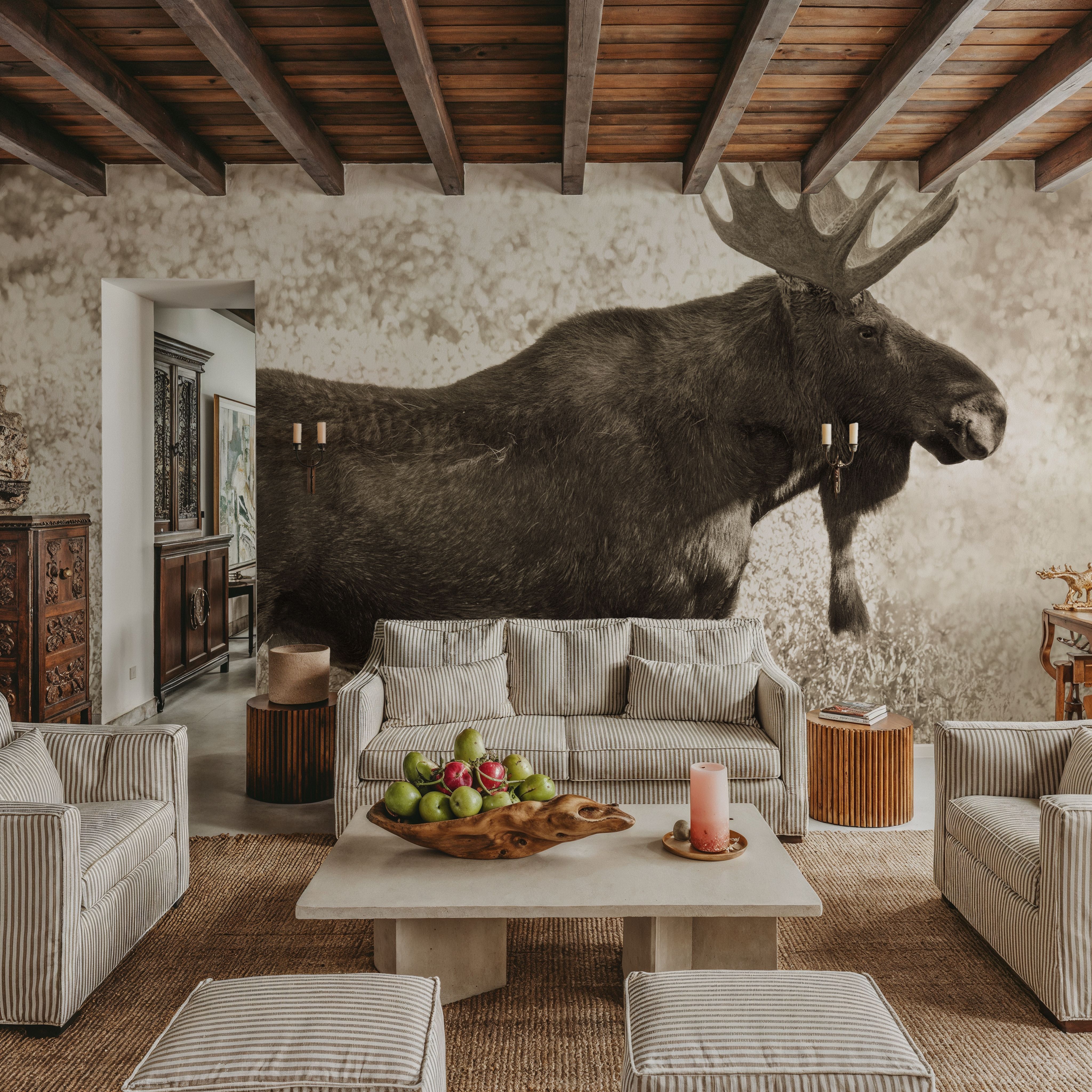 Medicine Bow Moose II