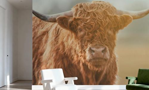 Highland Cow Pastures II