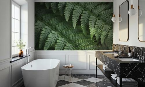 Fern Lines