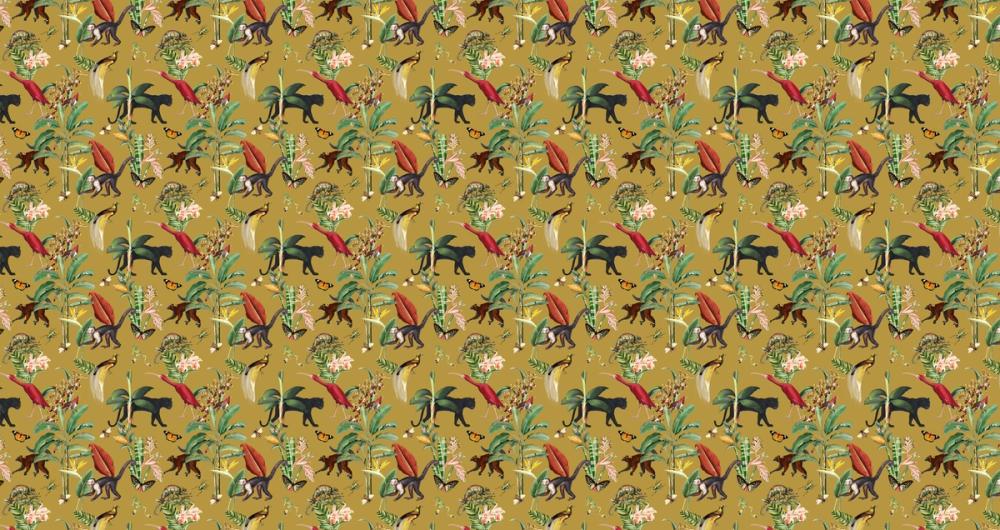 Kingdom Animalia Ochre