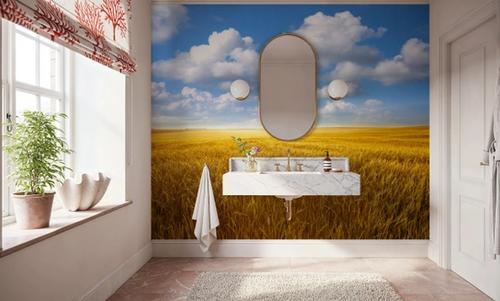 Amber Field Sky II