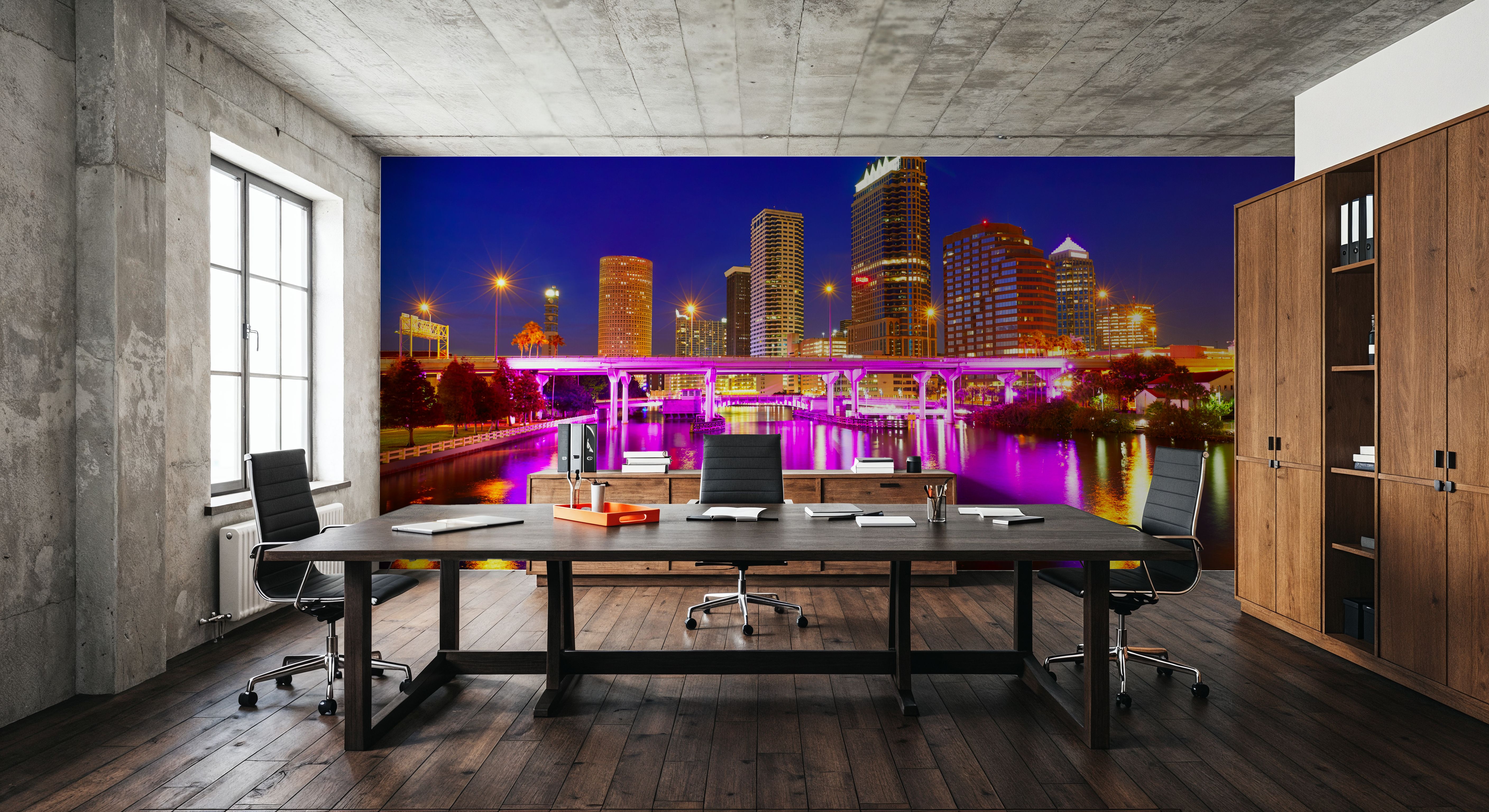 Tampa Skyline