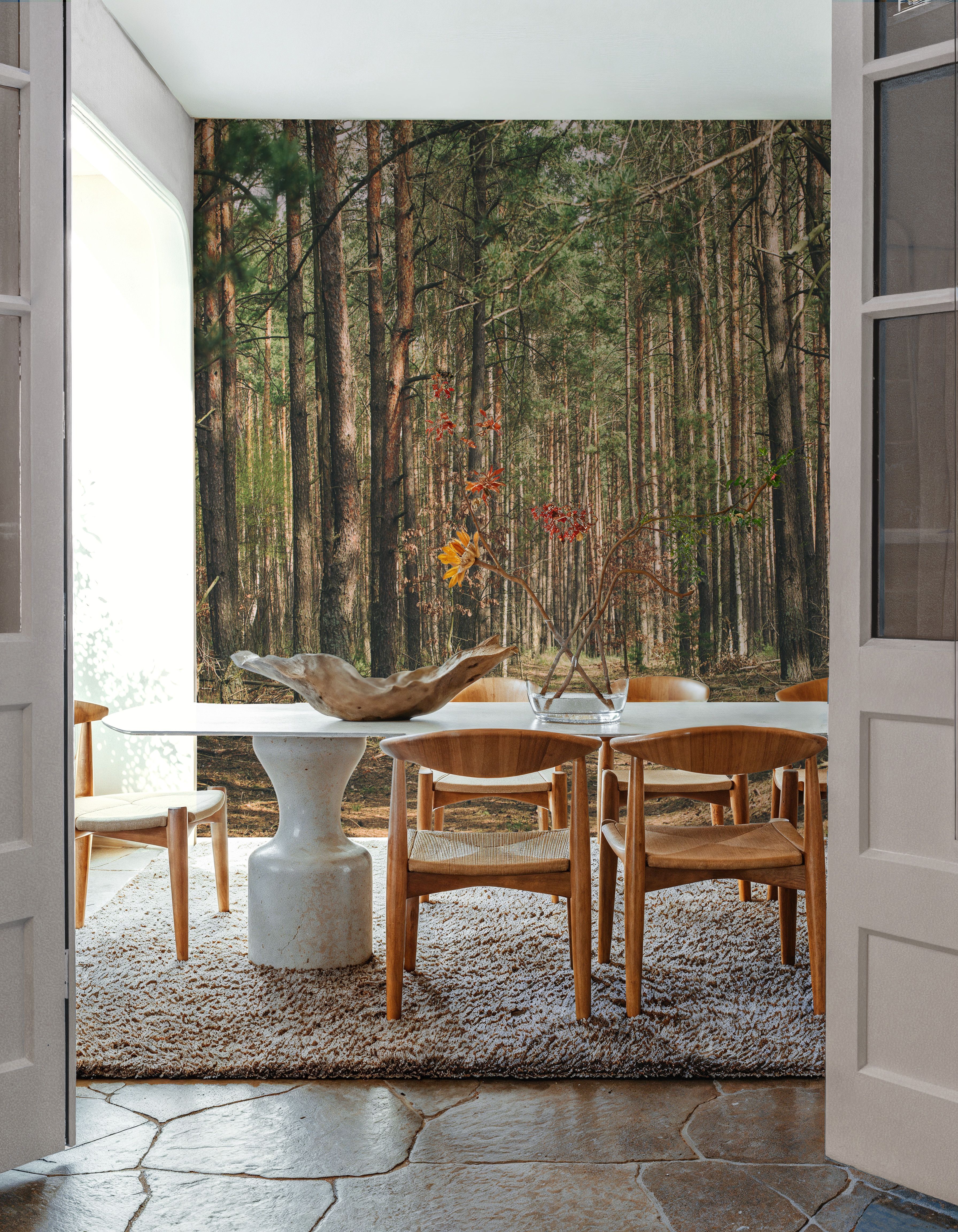 Alo ne in the Forest