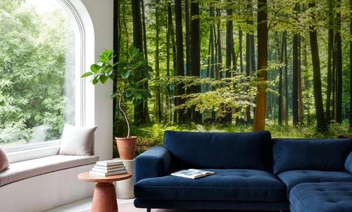 Deep Sunny Woods