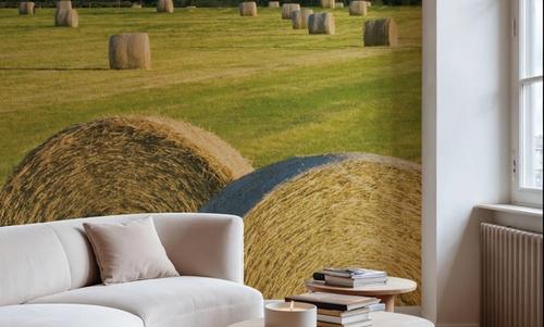 Hay Bales