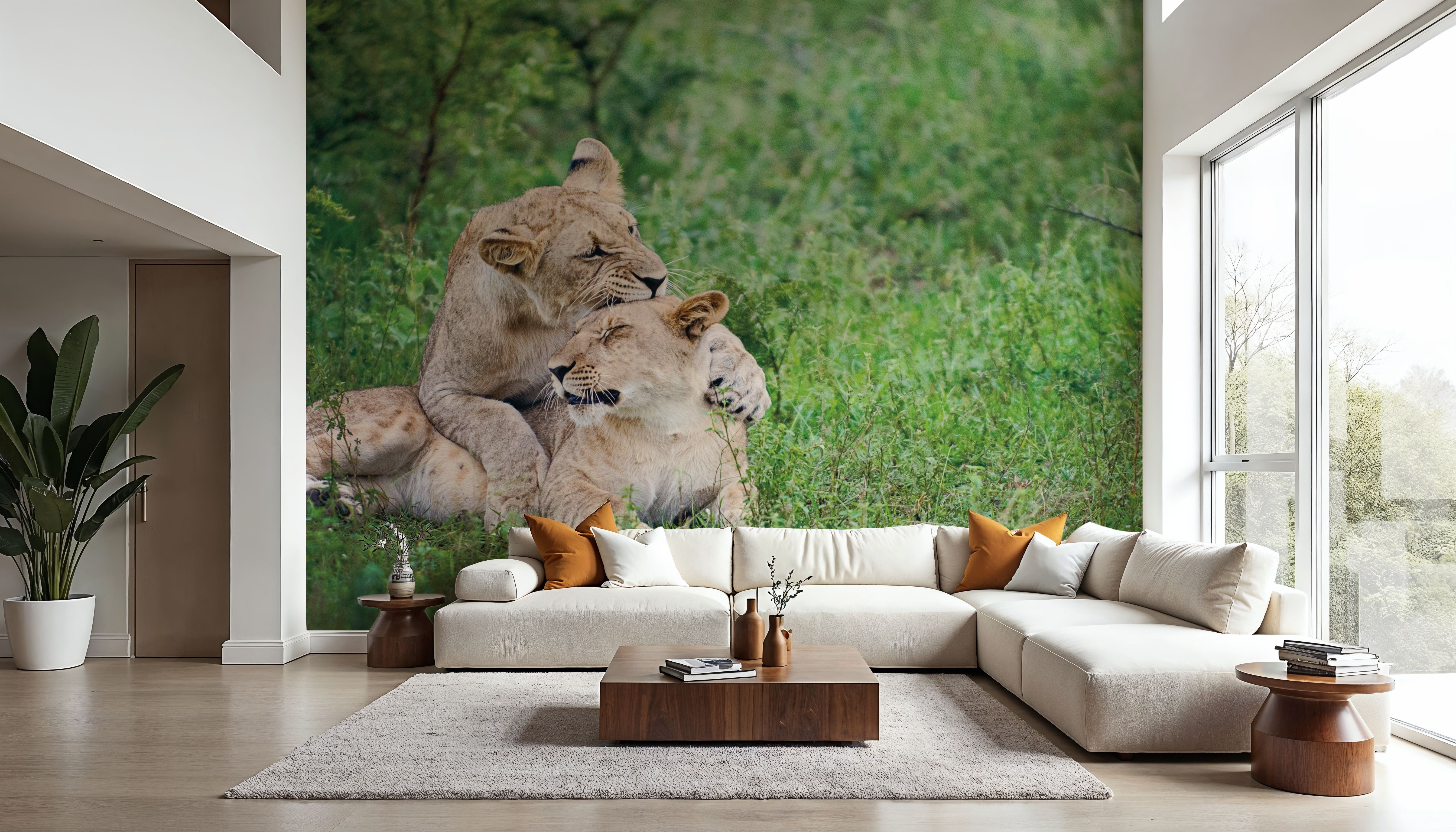 Playful Lions