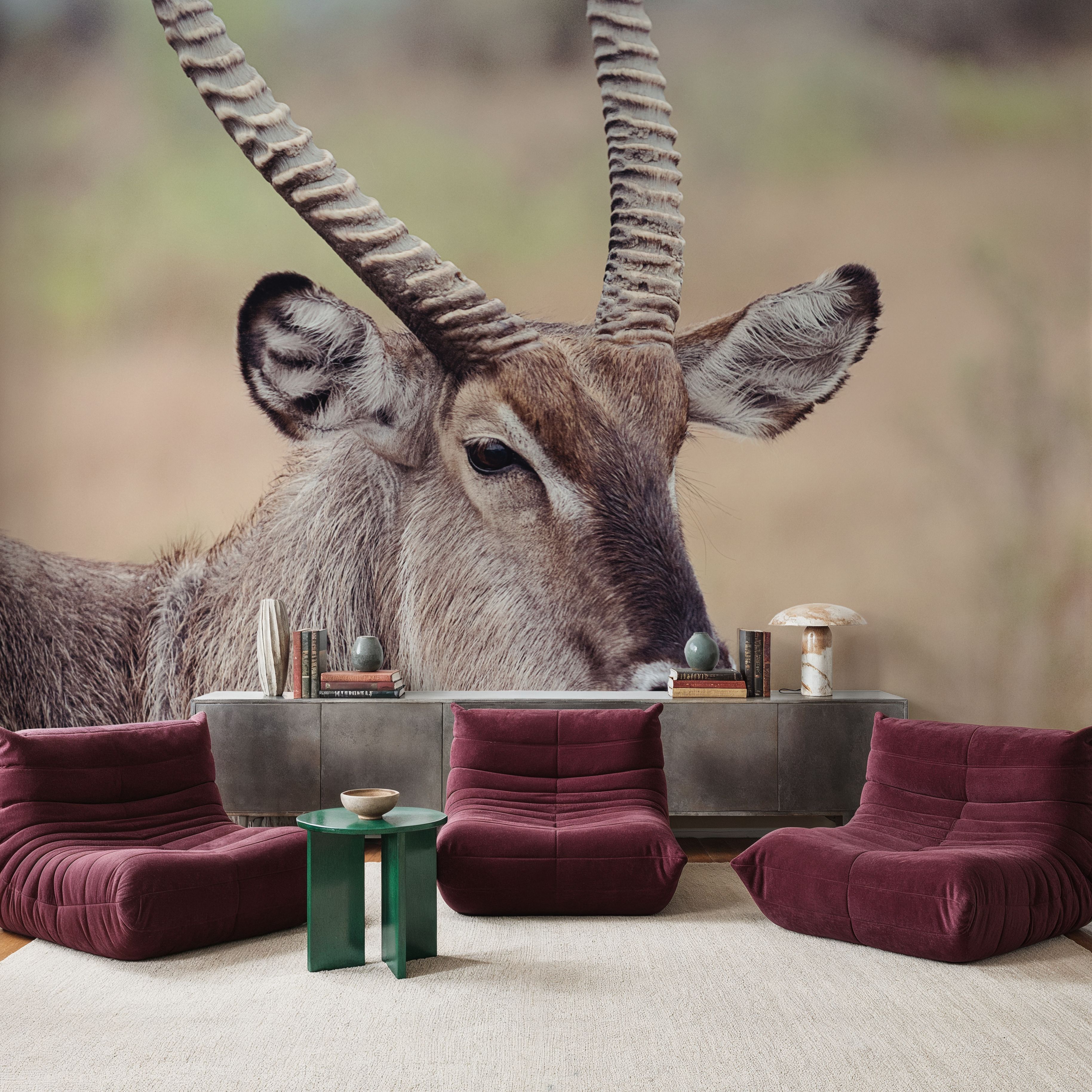 Waterbuck Portrait