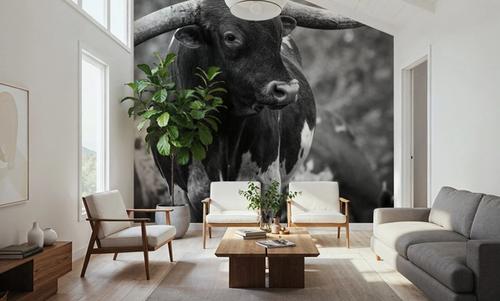 Longhorn Gaze I BW