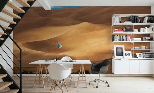 Sunlit Dune