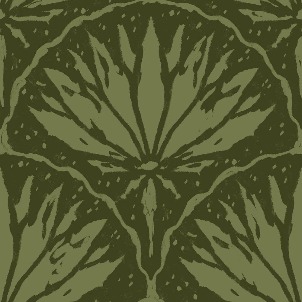 Abstract Water Lily, Herb