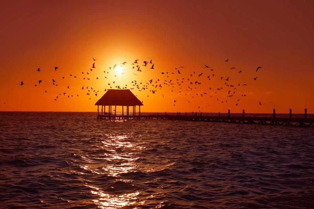 Sunset Harbor Pavilion
