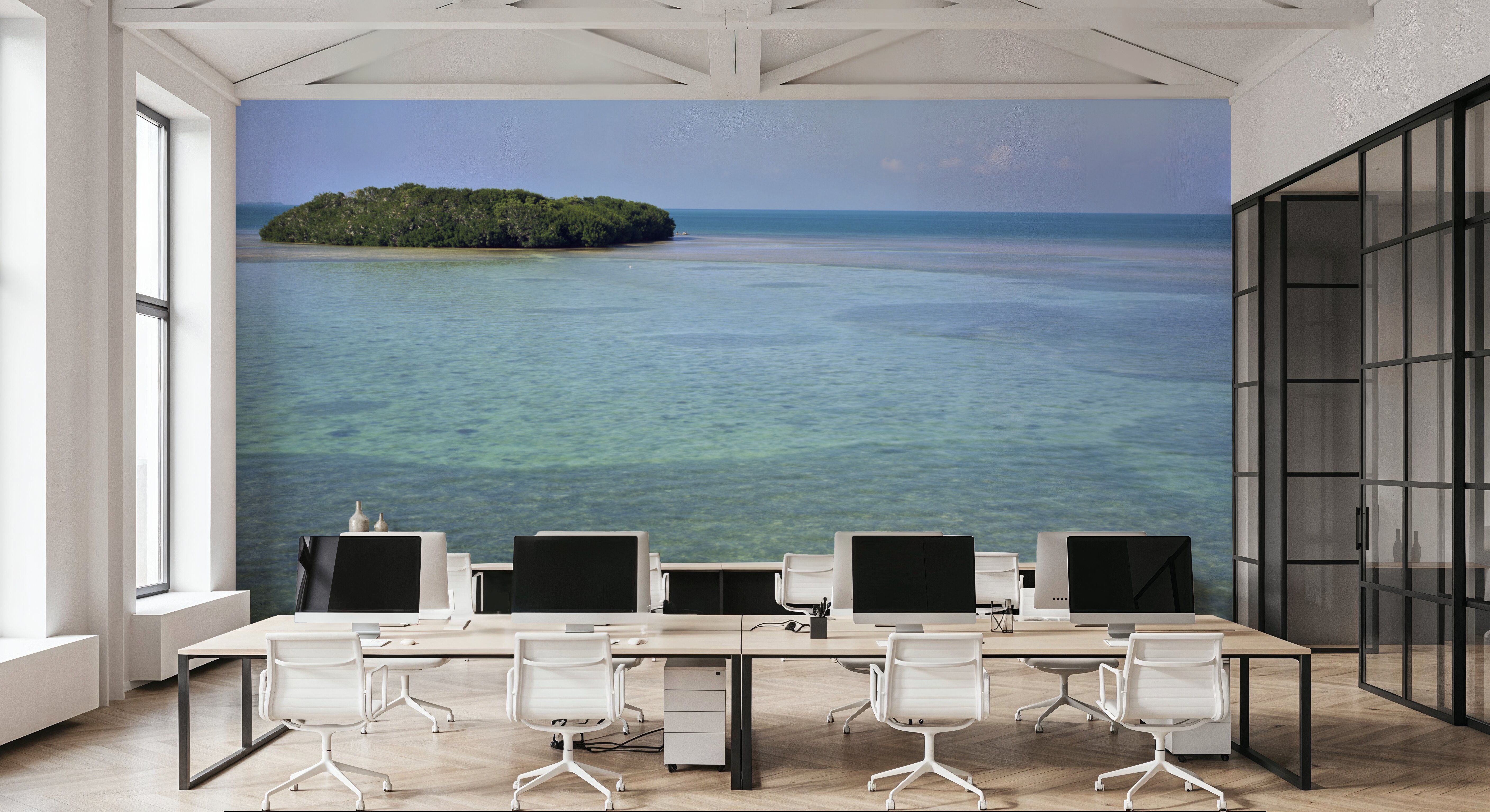 Ocean Oasis, Tapeten