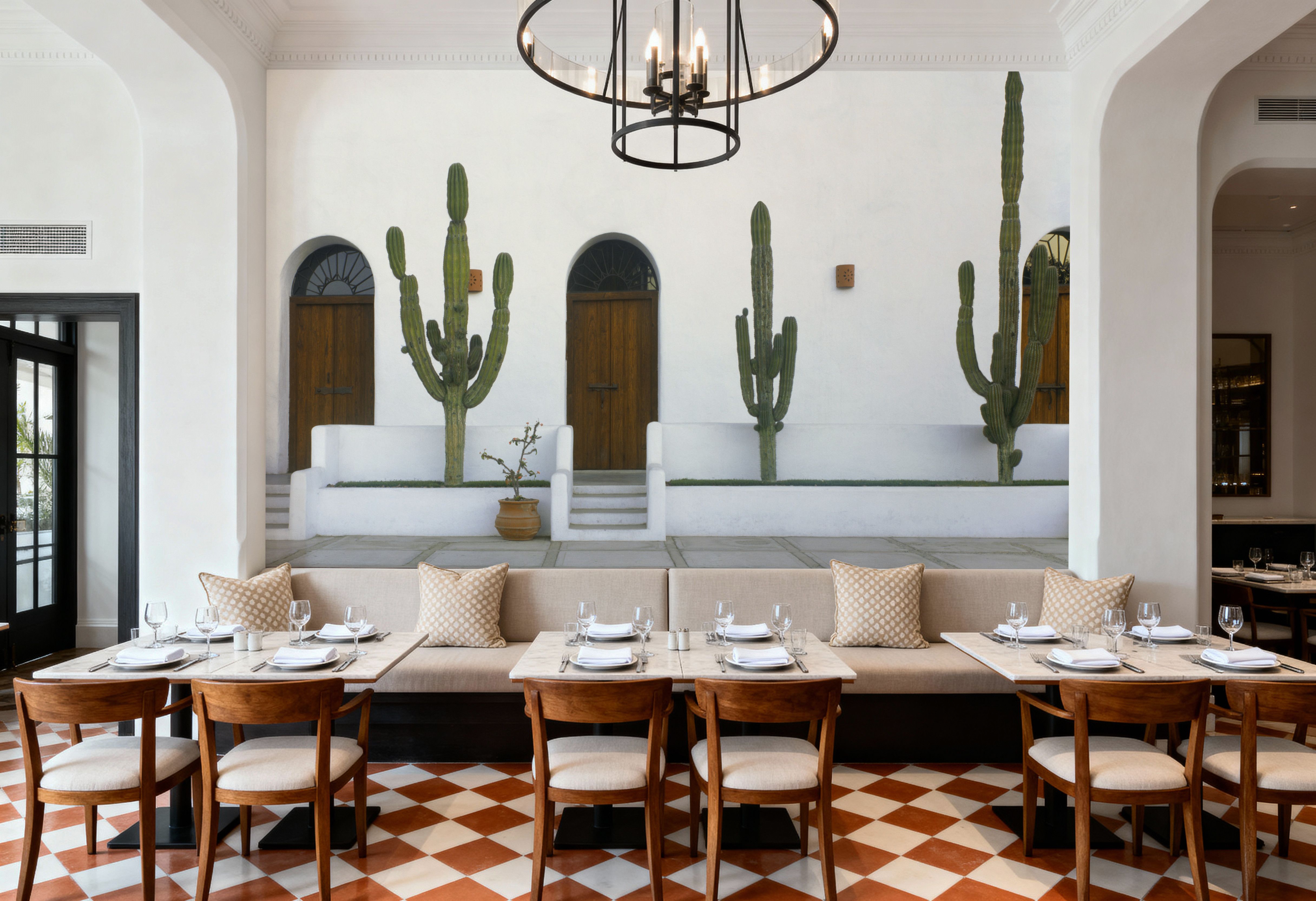 Cactus Sentinels