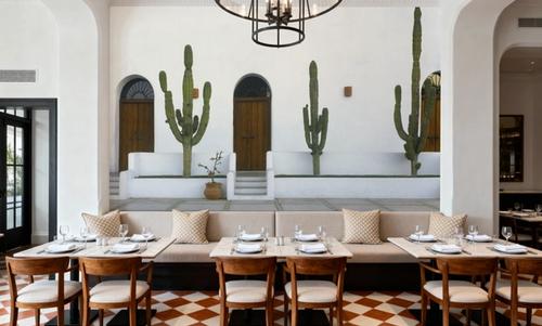 Cactus Sentinels