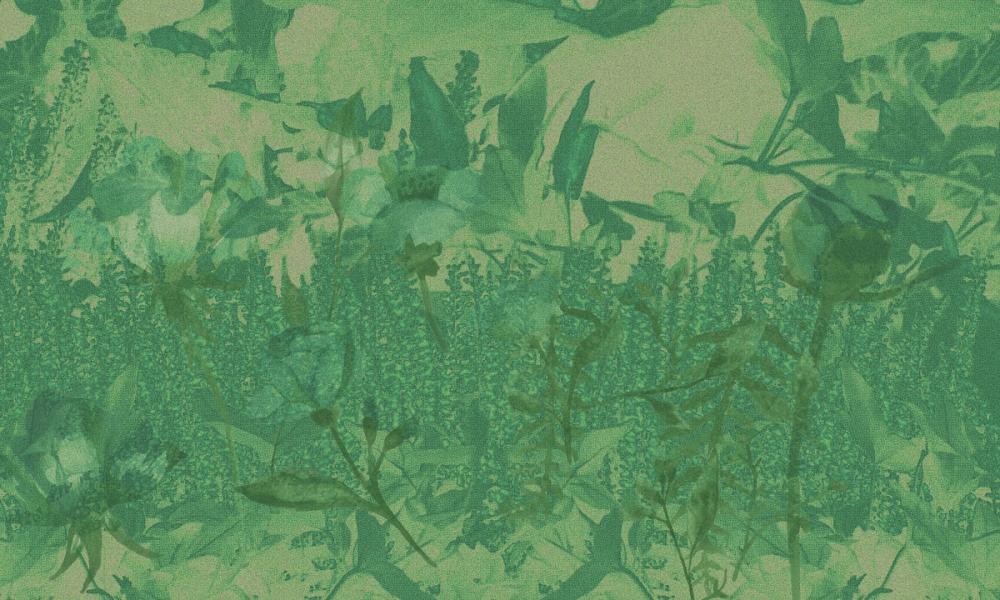 Meadow Memories, Chlorophyll