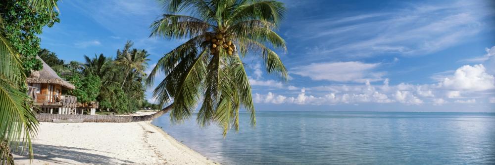 Tropical Beachside Haven