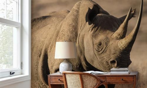 Kenyan Rhino