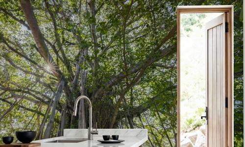 Banyan Tree