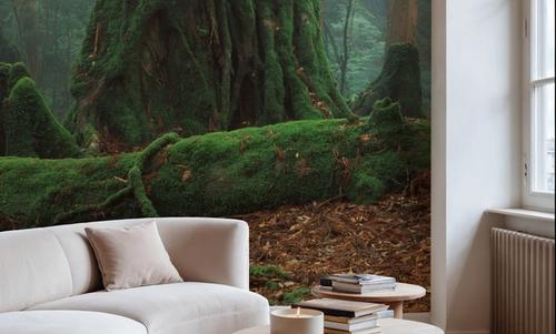 Yaku Rain Forest