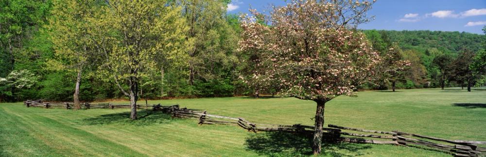 Pisgah National Forest