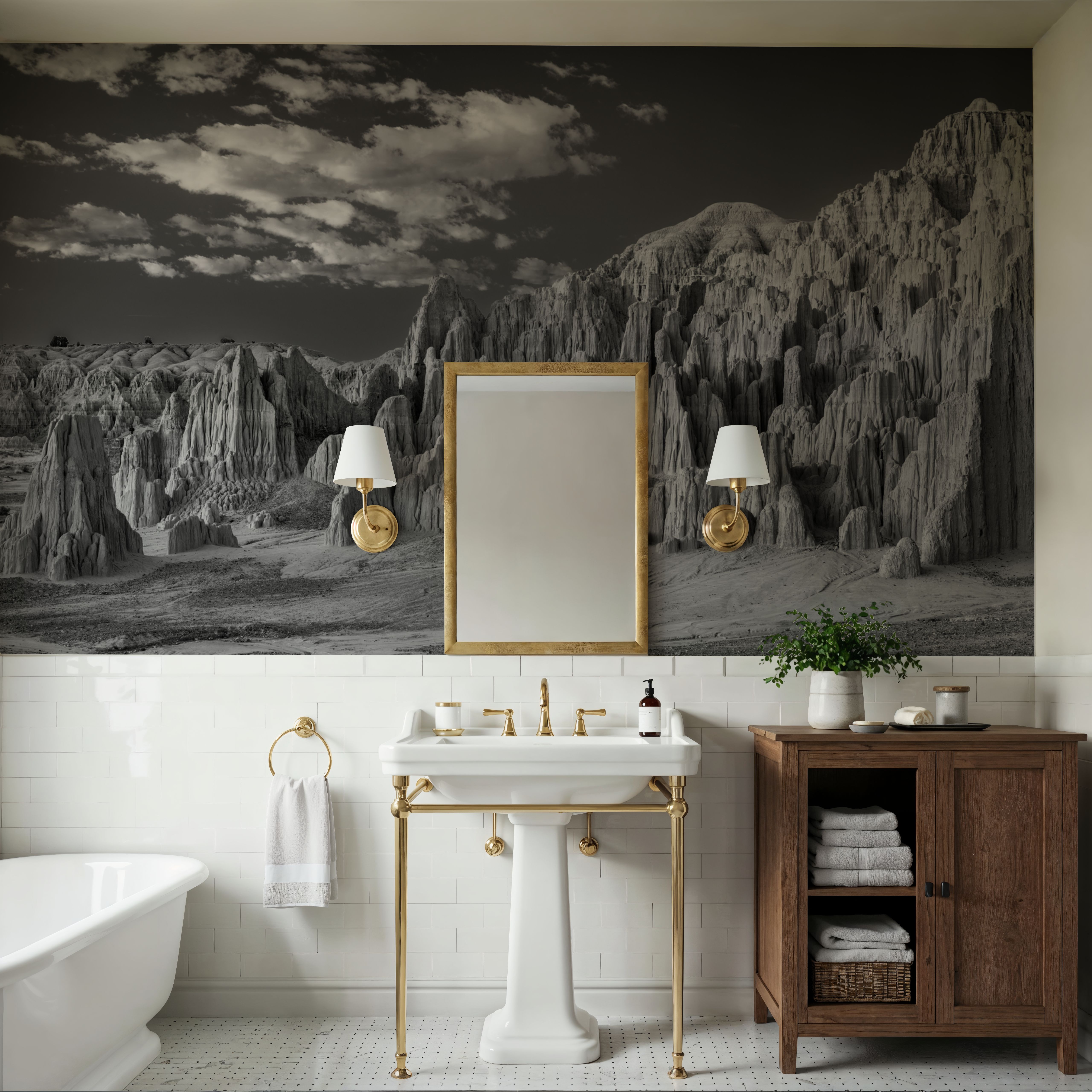 Cathedral Gorge, Black and White