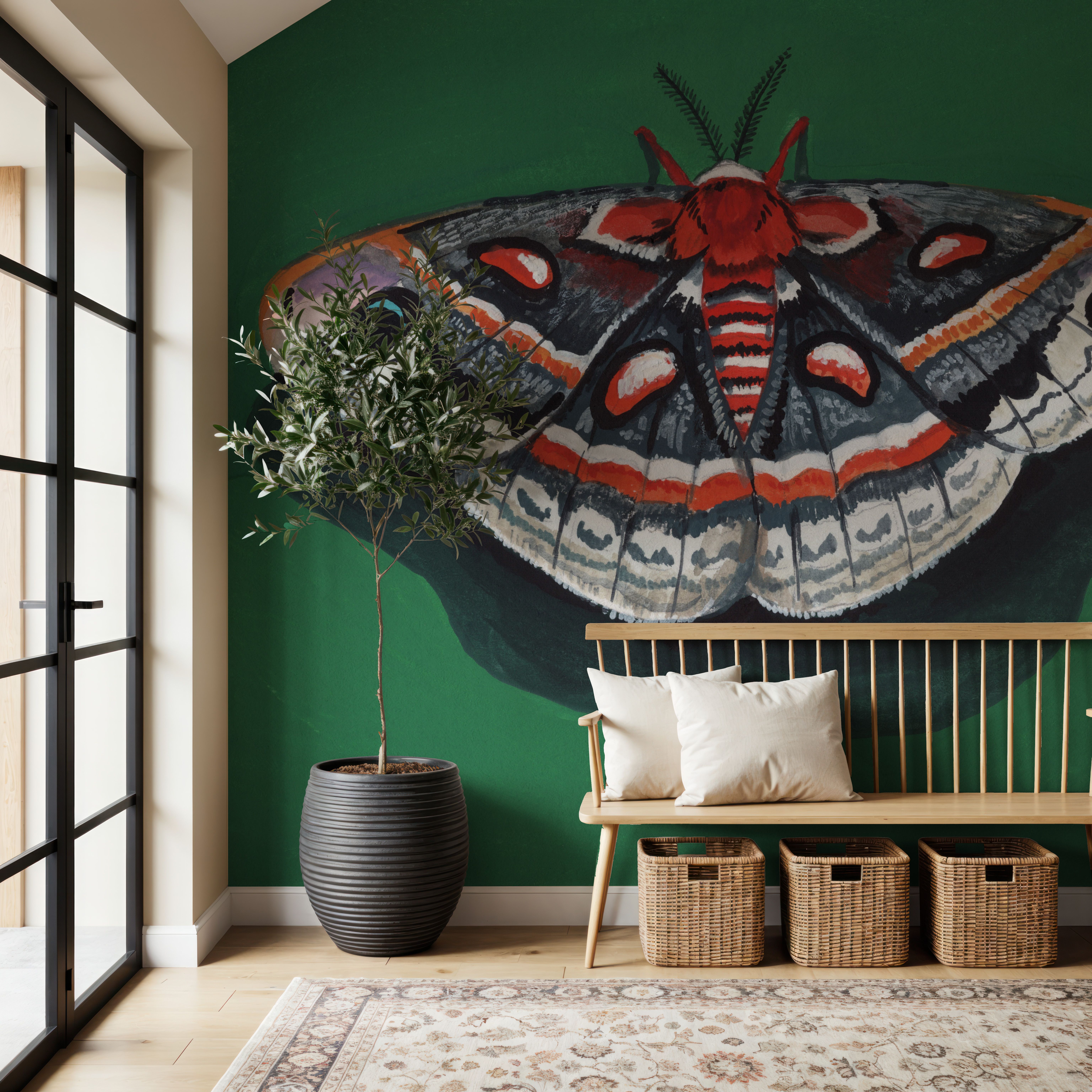 Cecropia Moth