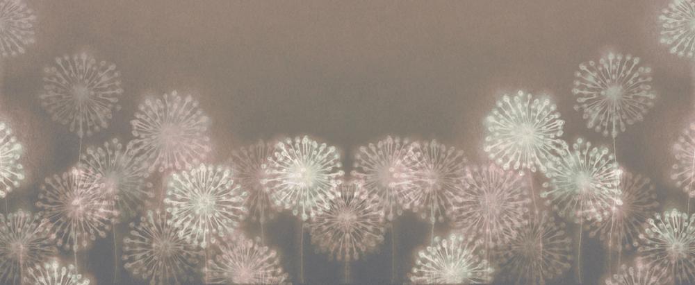 Harmony Allium Blooms