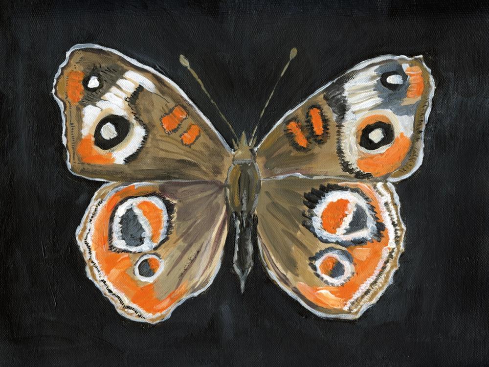 Bold Butterfly I