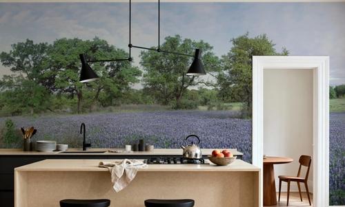 Texas Bluebonnet Paradise