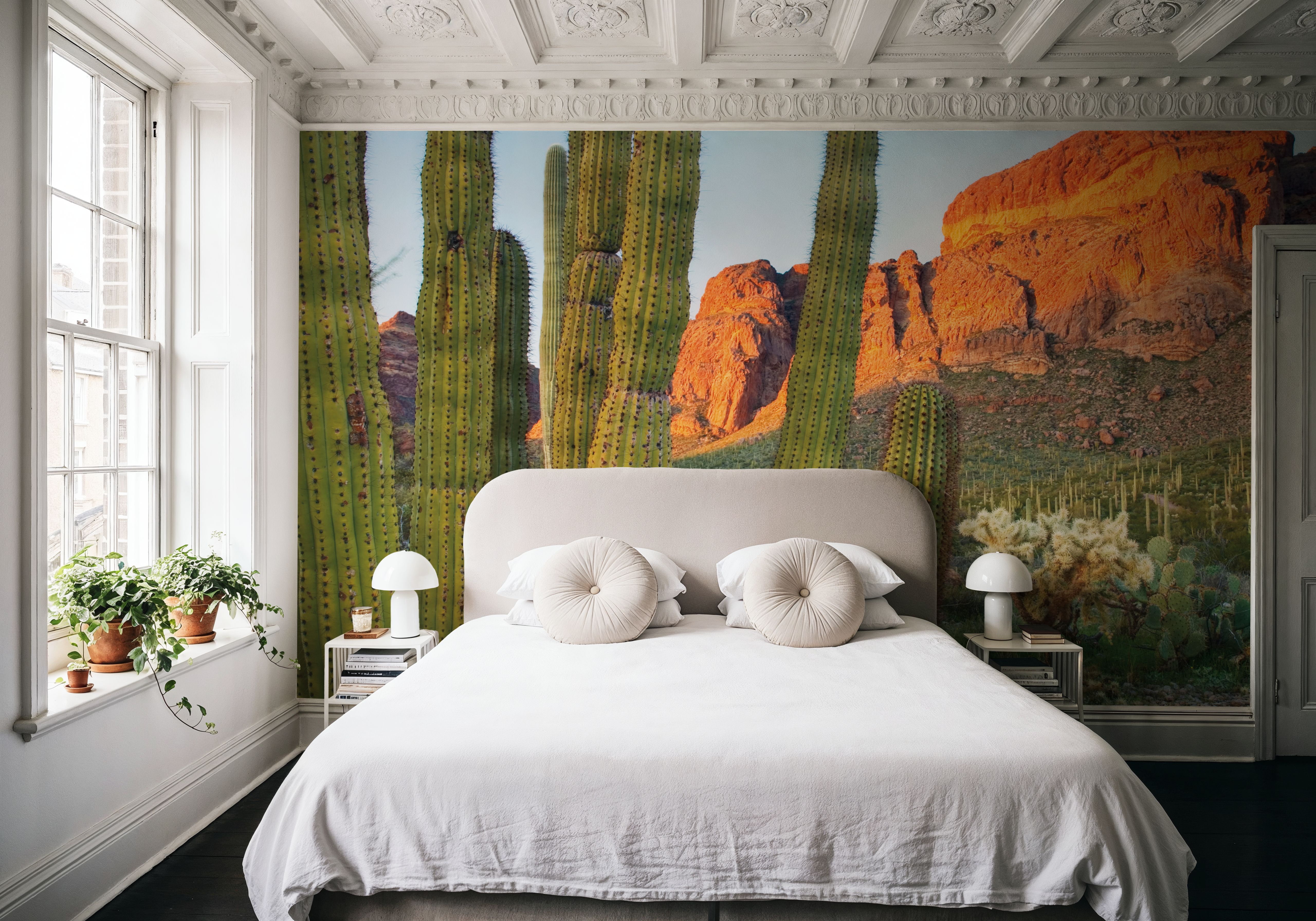 Stenocereus Thurberi