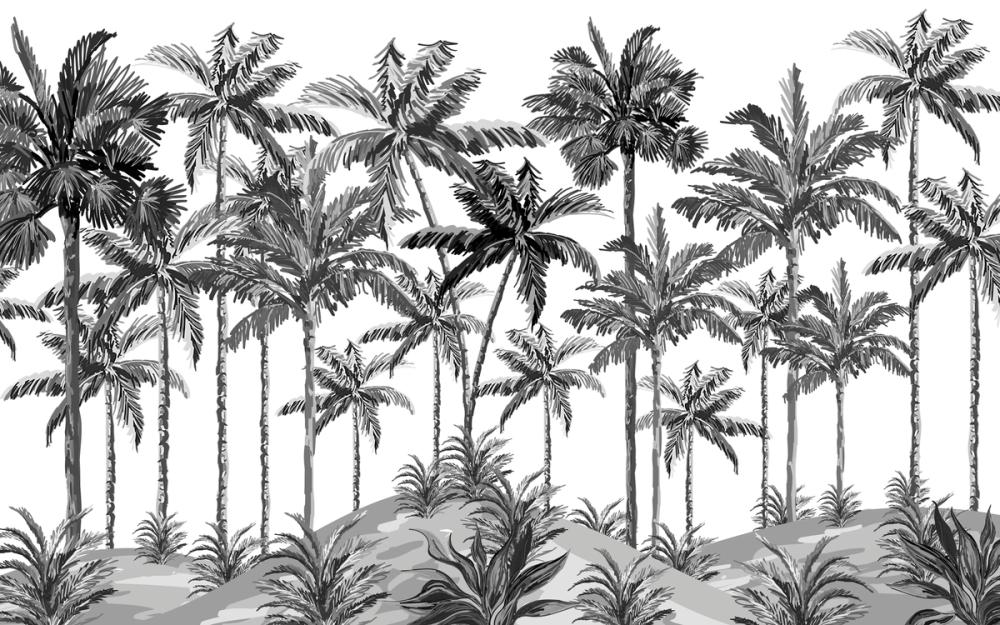 Playful Palms BW