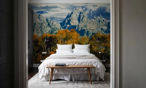 Autumn Mountain Vista