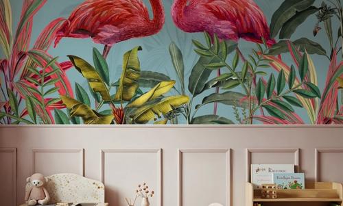 Shy Flamingos