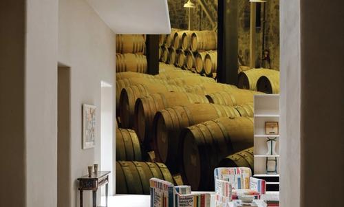 Barrels in a Cellar