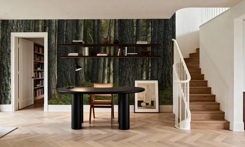 Pine Forest