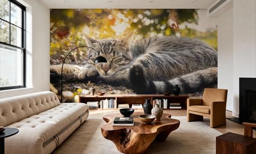 Cat Chill