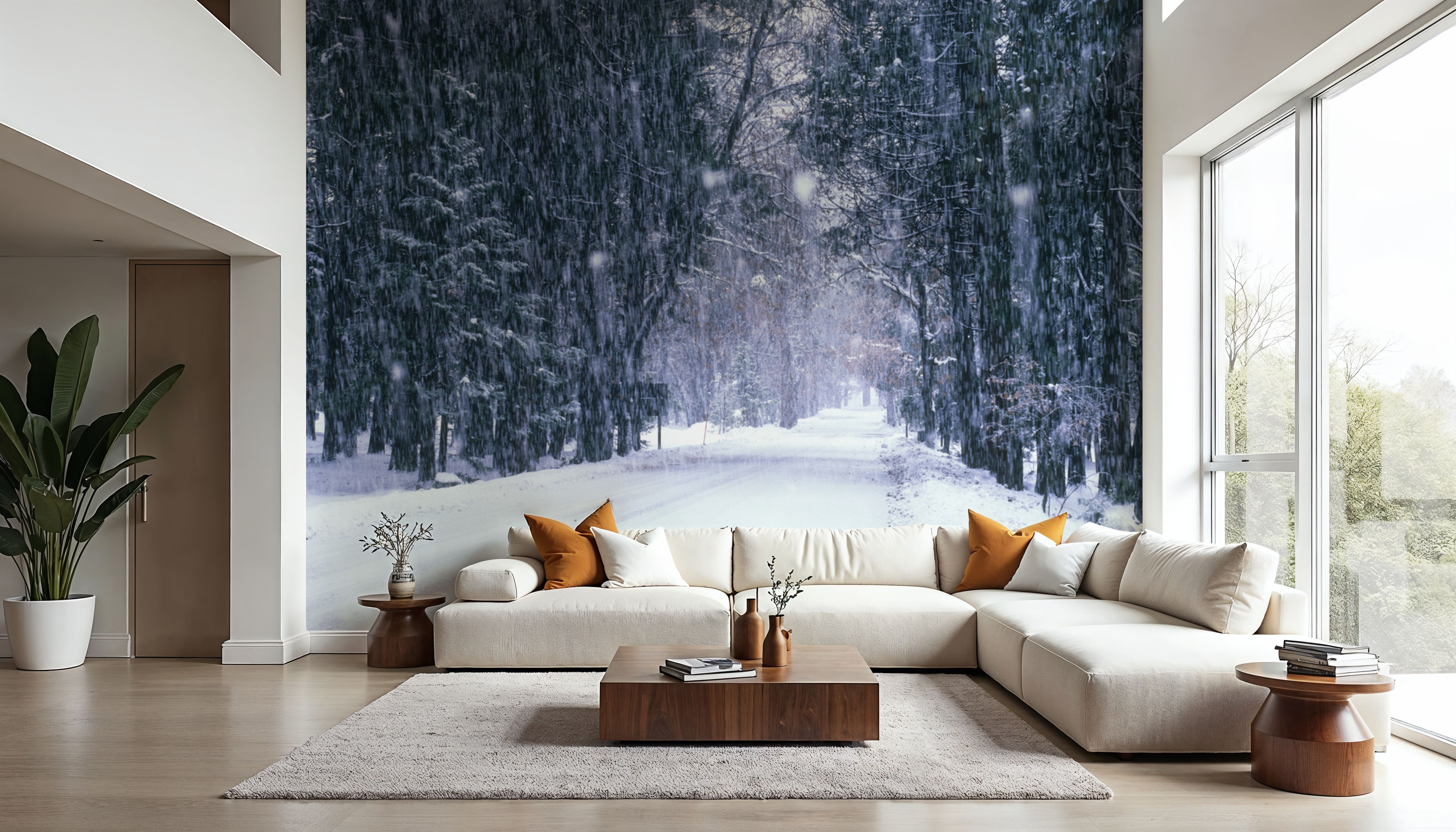 Winter Forest Path