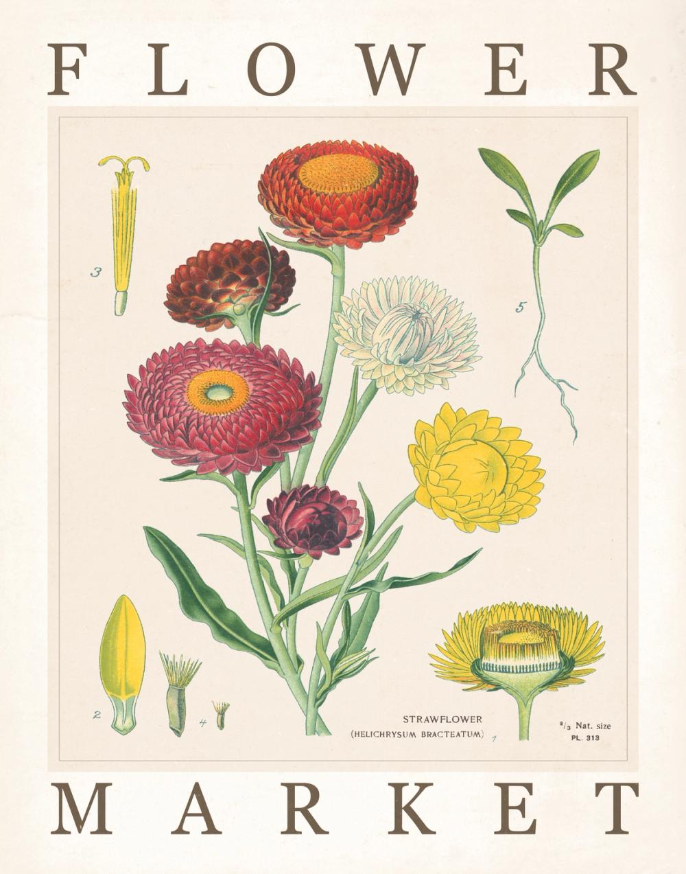 Flower Market Chart I