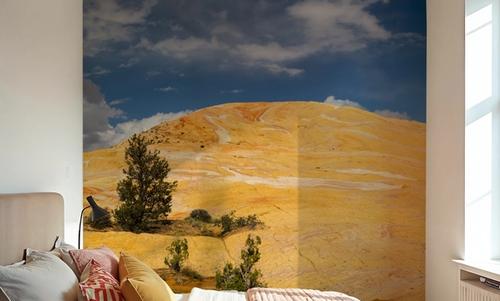Golden Mesa