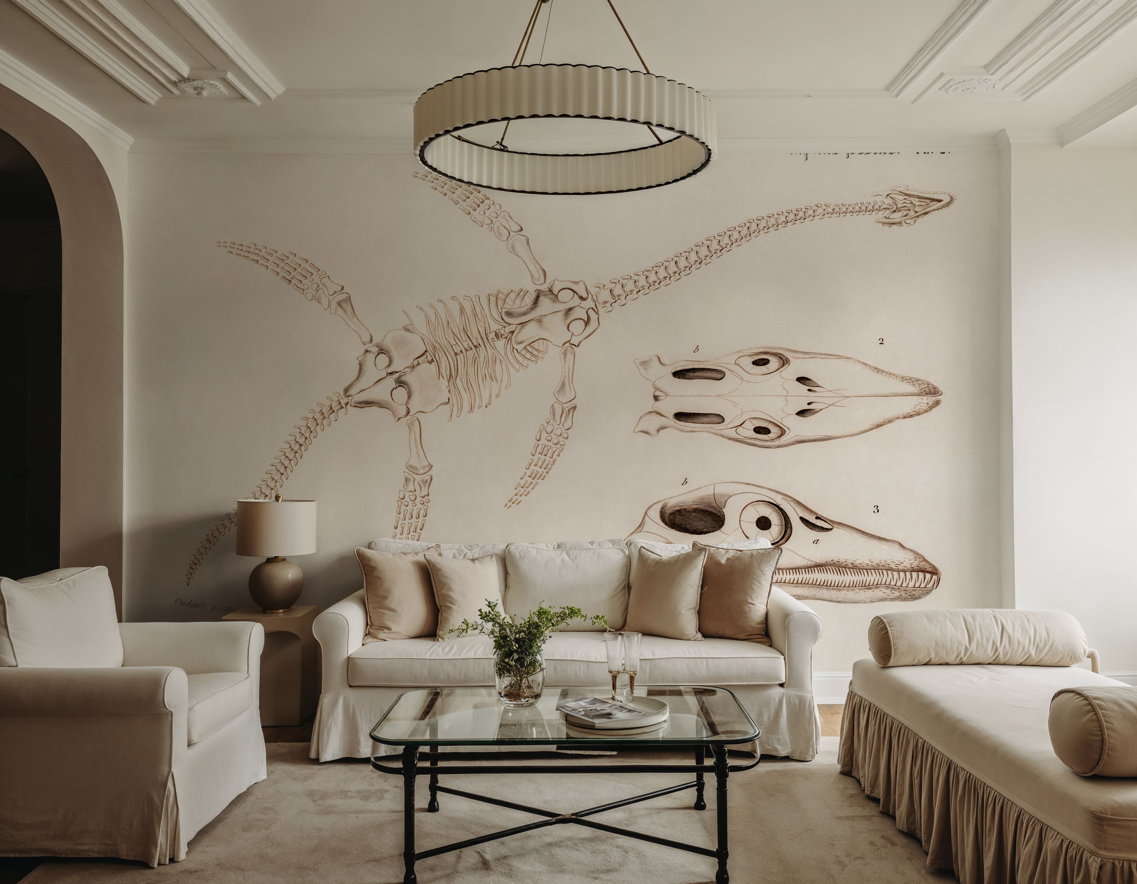 Plesiosaurus Illustrated