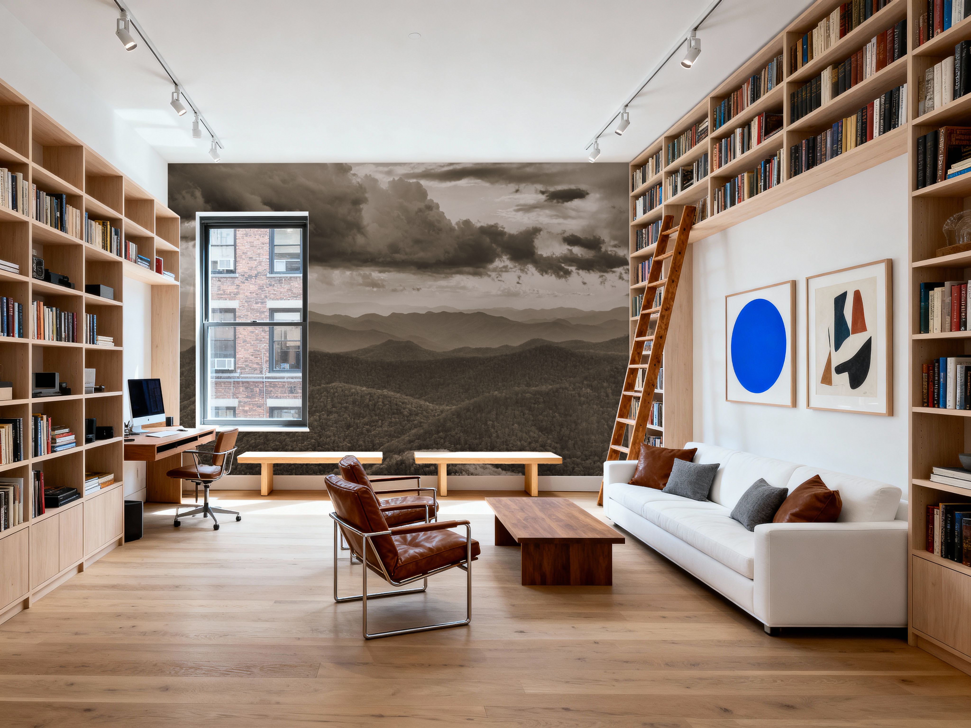 Blue Ridge Mountains II