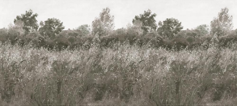 Meadow Whisper, Olive