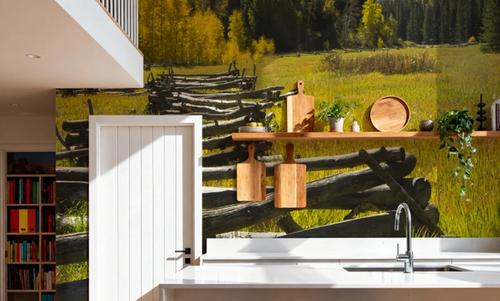 Mountain Meadow Path